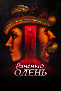 Раненый оленёнок